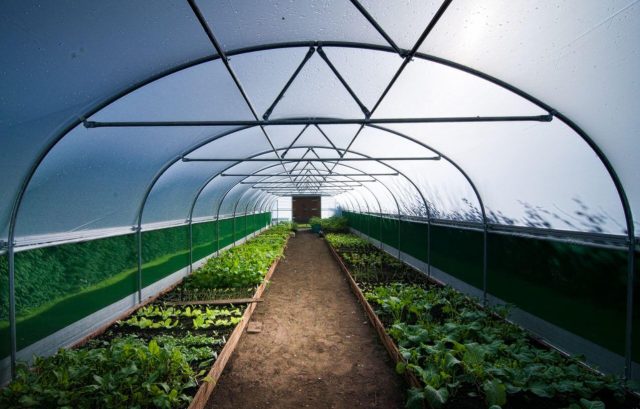 How plastic benefits agriculture