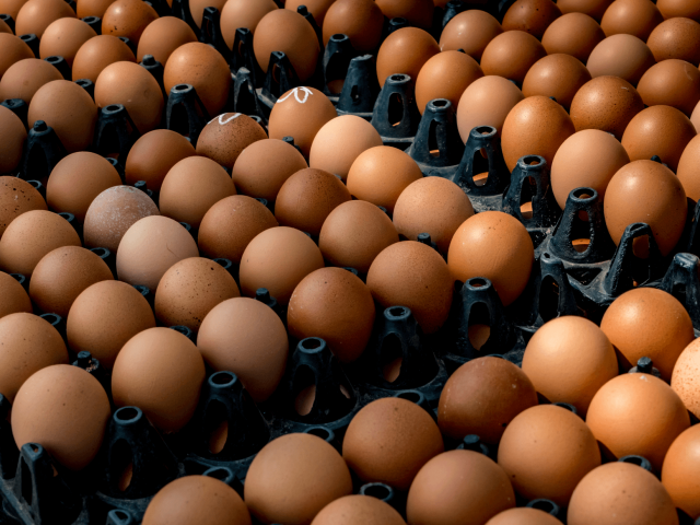 Why is thermoformed plastic important for the food and drink industry? What benefits does it bring over other types of plastic?